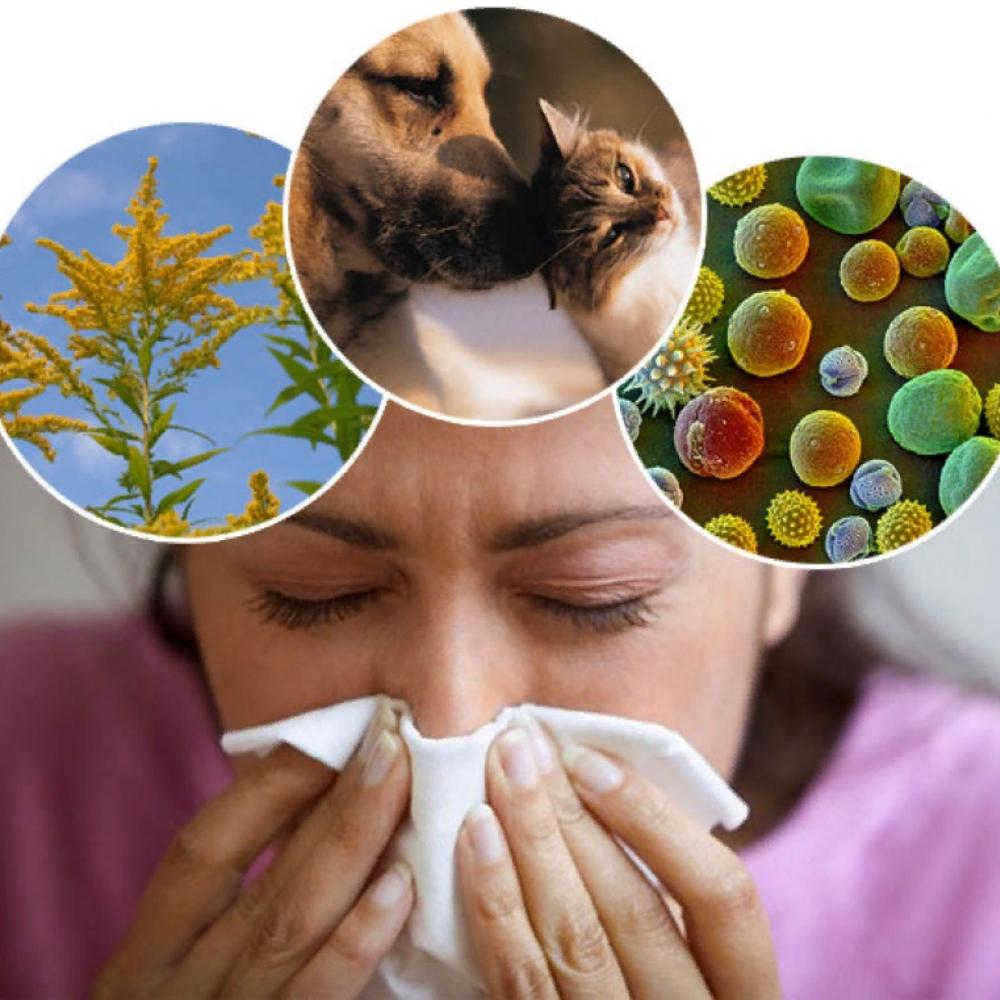Allergy From Different Things